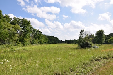 View - facing South -