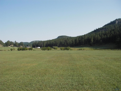 12726 Nemo Rd, Nemo, SD 57759 - photo 4