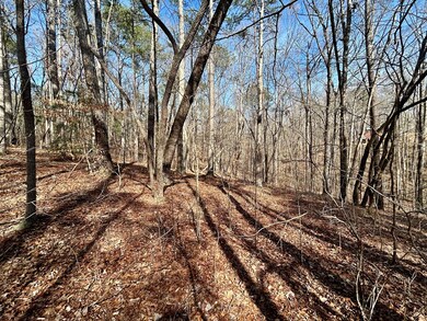 0 Berean Church Rd unit 402415, Ellijay, GA 30540 - photo 7