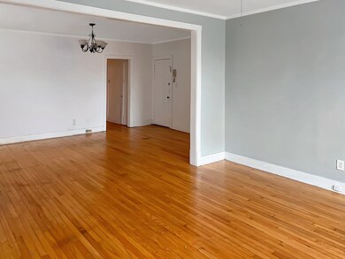 131 N Addison Ave unit 3, Elmhurst, IL 60126 - photo 3