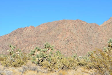 11900 S Alan Rd, Yucca, AZ 86438 - photo 4