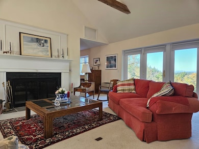 Elegant fireplace in living room