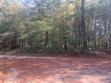 TBD Pulaski Dr E, Hampton, SC 29924 - photo 2