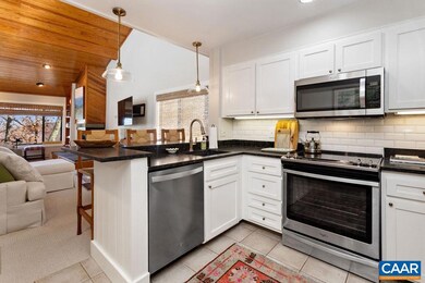 303 Dobie Condos, Roseland, VA 22967 - photo 2