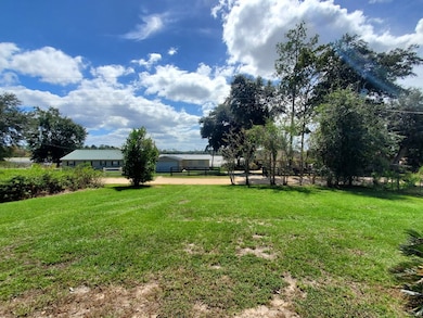 7760 Paradise Dr, Donalsonville, GA 39845 - photo 5