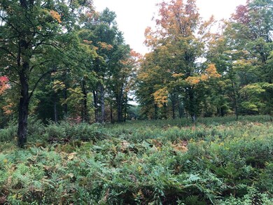 Lots 2/3 Strong Rd, Argonne, WI 54511 - photo 6