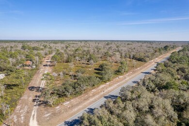 Vacant (7.72) Beach Rd, Perry, FL 32348 - photo 6