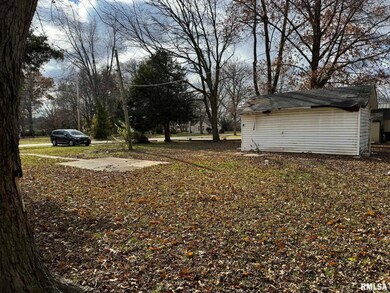 602 W 3rd St, Flora, IL 62839 - photo 3