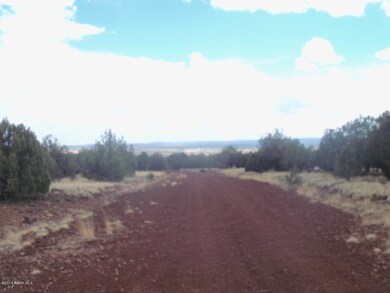 1641 N Eastview, Ash Fork, AZ 86320 - photo 7