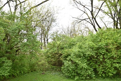 DSC_0047