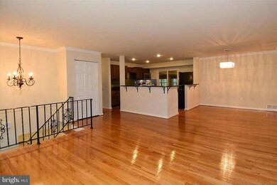 14319 Gaines Ave, Rockville, MD 20853 - photo 4