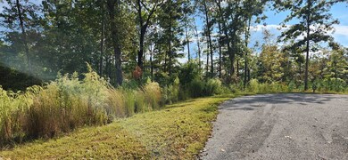 Lot 54 High River Landing, Ellijay, GA 30540 - photo 6