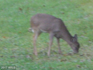 20617 Gapland Rd, Rohrersville, MD 21779 - photo 3