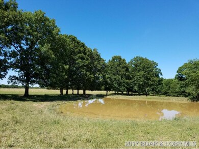Pond