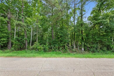 Parcel 1 7 01 Acres Bruhl Rd, Folsom, LA 70437 - photo 5