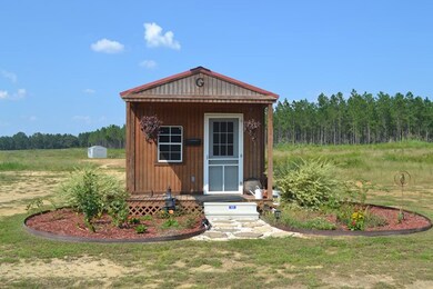 2270 Petross Rd, Ailey, GA 30410 - photo 3