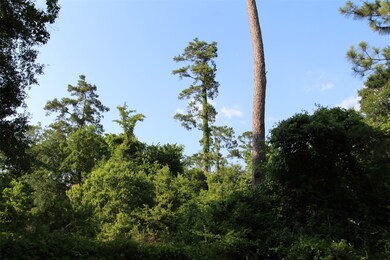 0 Bradbury Dr unit 78869892, Hockley, TX 77447 - photo 3