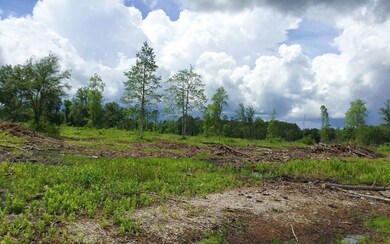 0 Cr-25a unit 103314, Lake City, FL 32055 - photo 4