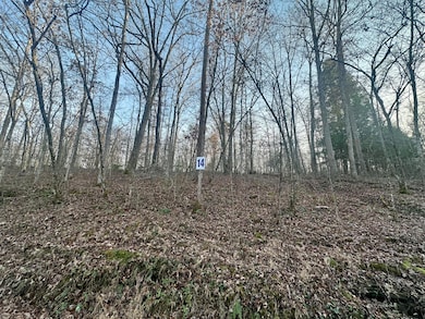 Lot 14 Hensley Rd, East Bernstadt, KY 40729 - photo 5