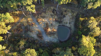 78+/- Acres TBD W Blanding Rd, Hanover, IL 61041 - photo 5