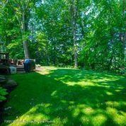 Lush greenery