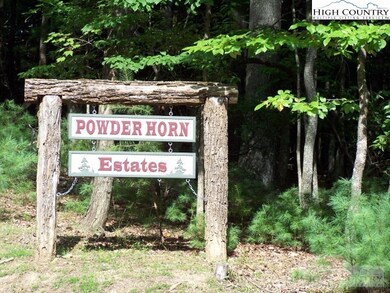 Tbd Roaring Ridge Rd, Deep Gap, NC 28618 - photo 6