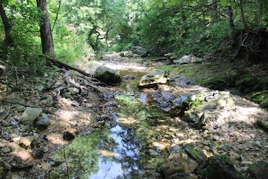 0 Hidden Valley Dr N, Omaha, AR 72662 - photo 2