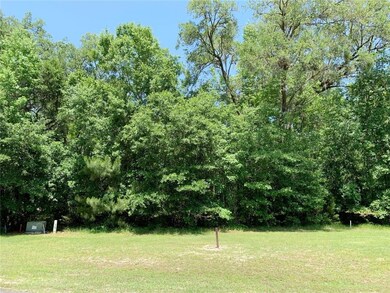 0 River Place Dr unit 1606396, Waverly, GA 31565 - photo 2