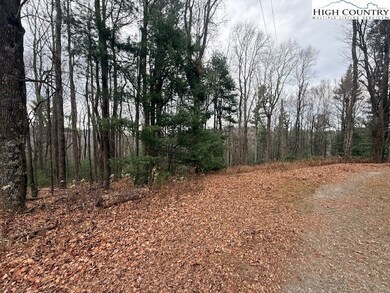 TBD Jobs Rd, Laurel Springs, NC 28644 - photo 5