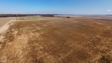 507 Hwy 280, Peach Orchard, AR 72453 - photo 3