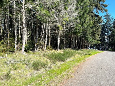 10228 Totem Way, Anderson Island, WA 98303 - photo 5