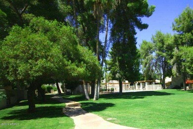 REC AREA 1