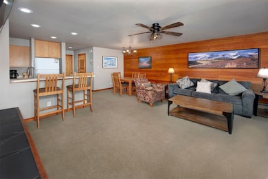 22080 US Highway 6 unit 1476, Dillon, CO 80435 - photo 3