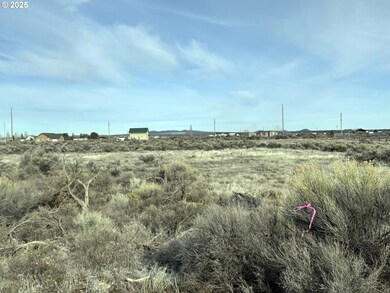 0 Elm Ln unit L5200 685282775, Christmas Valley, OR 97641 - photo 6