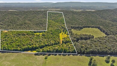 3303 Cantrell Rd, La Fayette, GA 30728 - photo 5