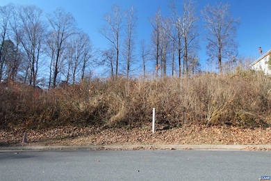 TBD27 Barnsdale Rd, Piney Mountain, VA 22911 - photo 2