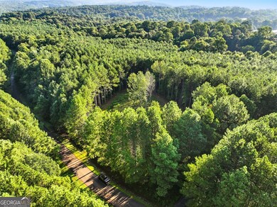 31&32 Fox Paw Leaf Ln, Ellijay, GA 30536 - photo 6