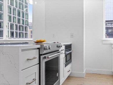 The Strada 234 unit 720, Boston, MA 02114 - photo 5