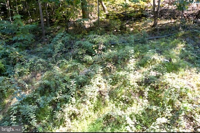 0 Parkside Rd unit VAWR2012298, Linden, VA 22642 - photo 7