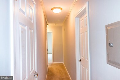 1103 Primrose Ct unit 303, Annapolis, MD 21403 - photo 3