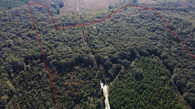 0 Wildlife Way unit 1085697, Callahan, FL 32011 - photo 6