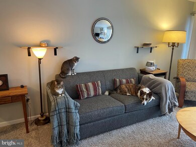 Chestnut Grove Condominiums unit 155, Reston, VA 20190 - photo 2