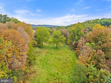 LOT 24L Bloomery Pike, Whitacre, VA 22625 - photo 7