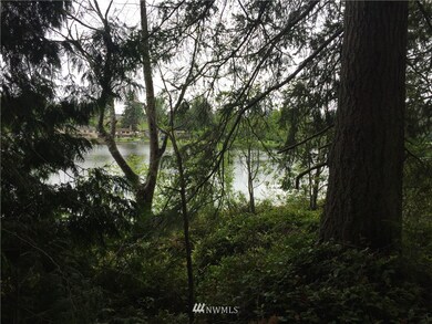 unlisted-address, Stanwood, WA 98292 - photo 4