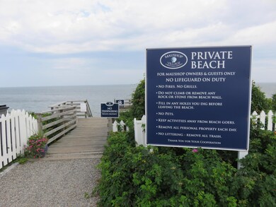 IMG_6201 (2)