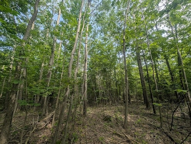 PXL_20250709_155036760