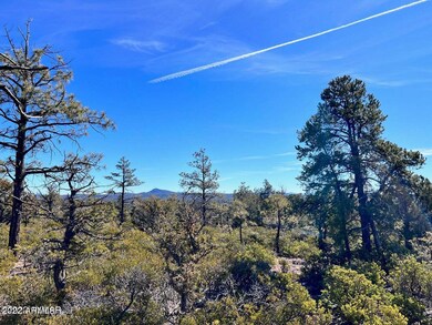1985 S Twin Peak Trail unit 392, Show Low, AZ 85901 - photo 2