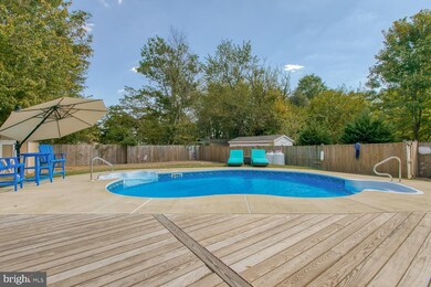 3507 Maple Ct, Falls Church, VA 22041 - photo 3