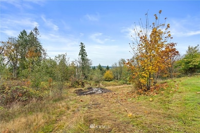 1059 Highway 603 unit 36, Chehalis, WA 98532 - photo 5