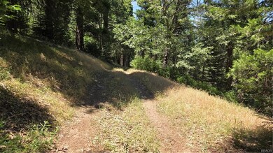 00987 Deer Run Rd, Cedarpines Park, CA 92322 - photo 4